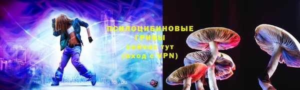 первитин Коряжма