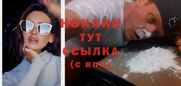 прущие грибы Красноперекопск