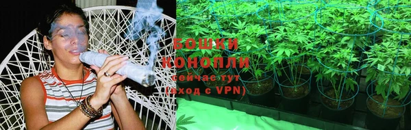 прущие грибы Красноперекопск